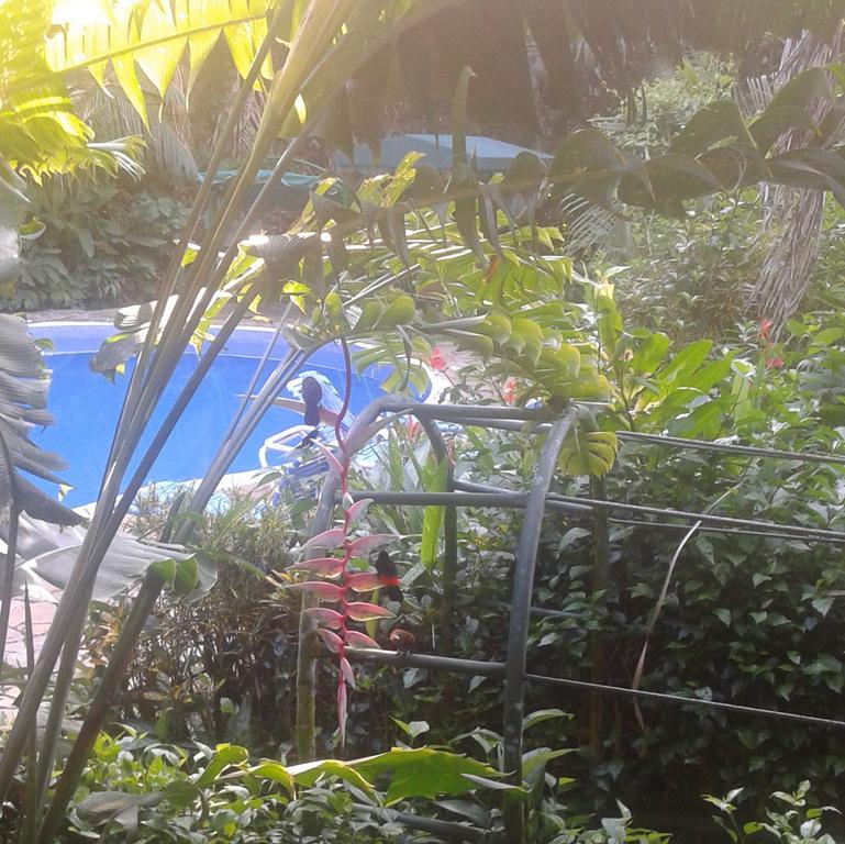 Jungle Villa Manuel Antonio Esterno foto
