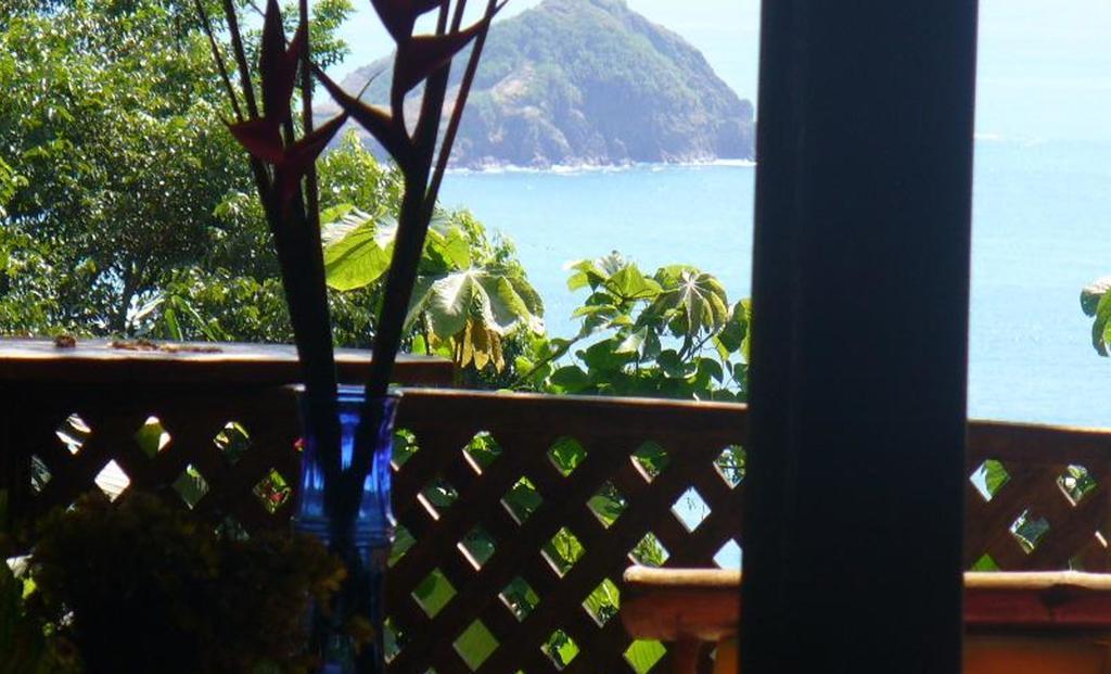 Jungle Villa Manuel Antonio Esterno foto