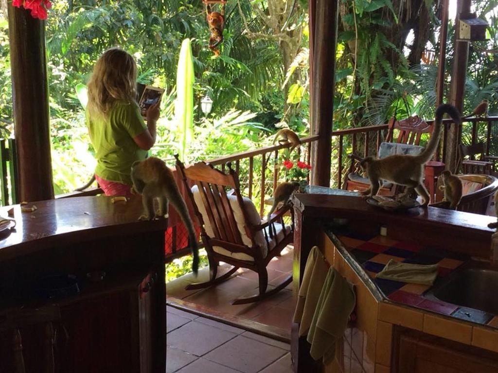 Jungle Villa Manuel Antonio Esterno foto