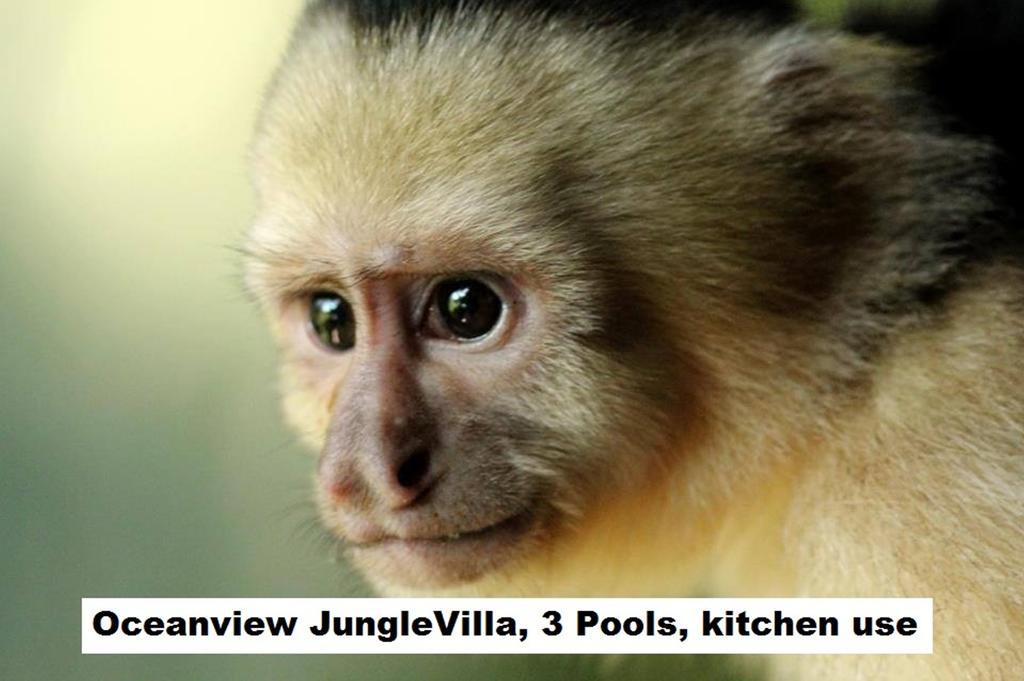 Jungle Villa Manuel Antonio Esterno foto