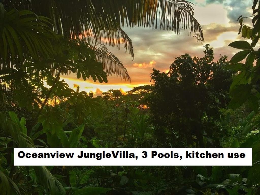 Jungle Villa Manuel Antonio Esterno foto