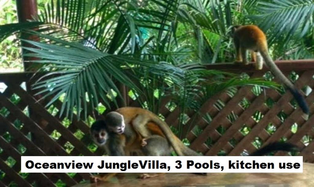 Jungle Villa Manuel Antonio Esterno foto