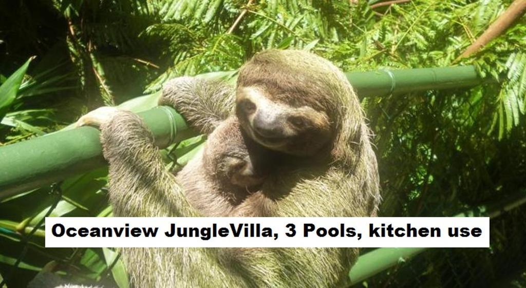 Jungle Villa Manuel Antonio Esterno foto